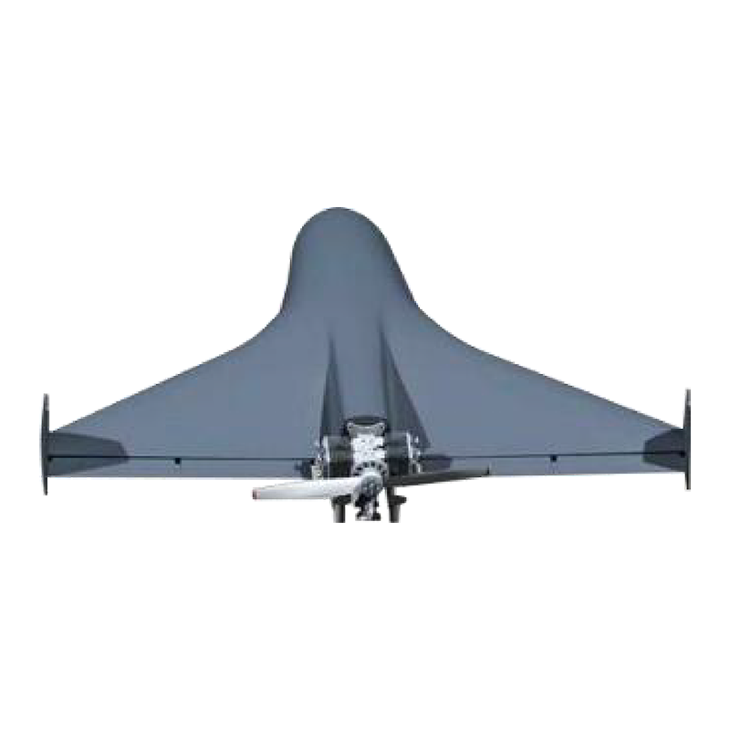 loong-m9