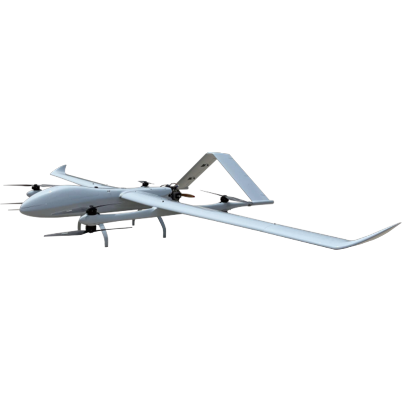 loong-7