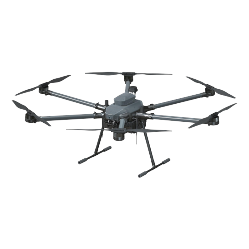 loong-4p-2