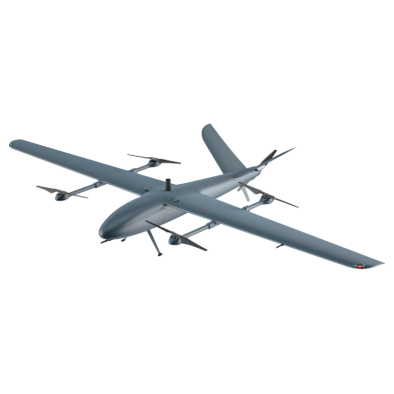 loong-1e